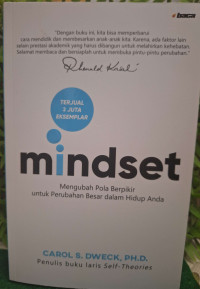 Image of MIndset