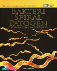 Image of Bakteri Spiral Patogen